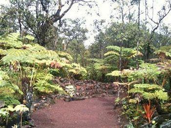 Volcano Rainforest Lodge Luaran gambar